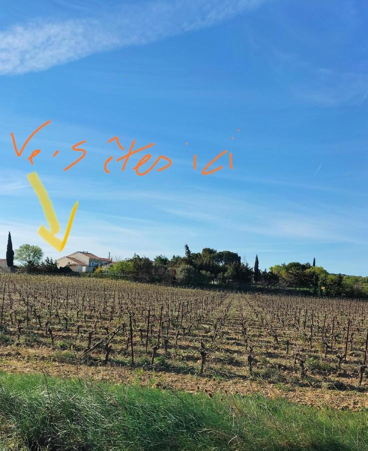 Gites A Moussan ,Domaine De La Barque A 5 Mins De Narbonne Exterior photo